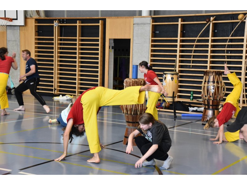 Rencontre de Capoeira de fin d'année les 14-15 juin 2024 - Cours d'initiation à la capoeira "Spécial Parents & Adultes »  avec Roda — 31