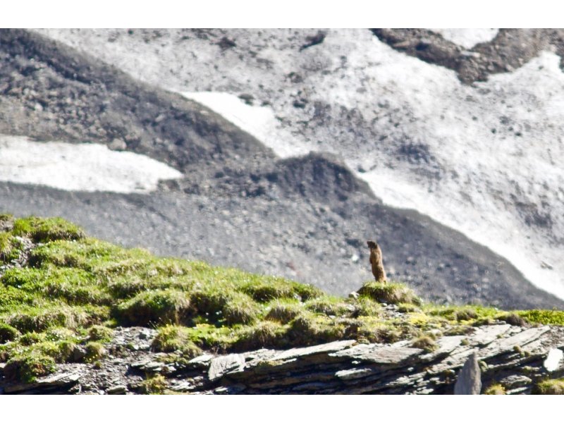 Capoeir'Alpes Camps 2017 — 21