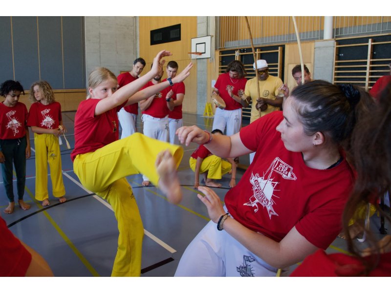 Rencontre de Capoeira 12 et 13 Juin 2026 - 26 ans — 40