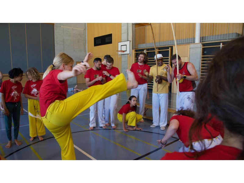 Rencontre de Capoeira 12 et 13 Juin 2026 - 26 ans — 42