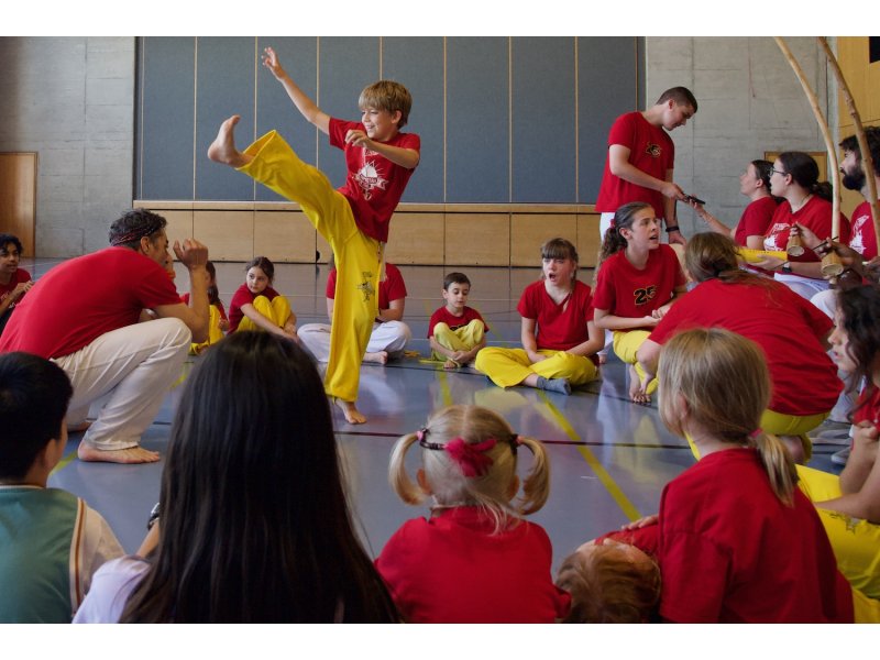 Rencontre de Capoeira 12 et 13 Juin 2026 - 26 ans — 21