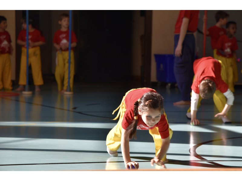 Entraînement "circuit training » — 13