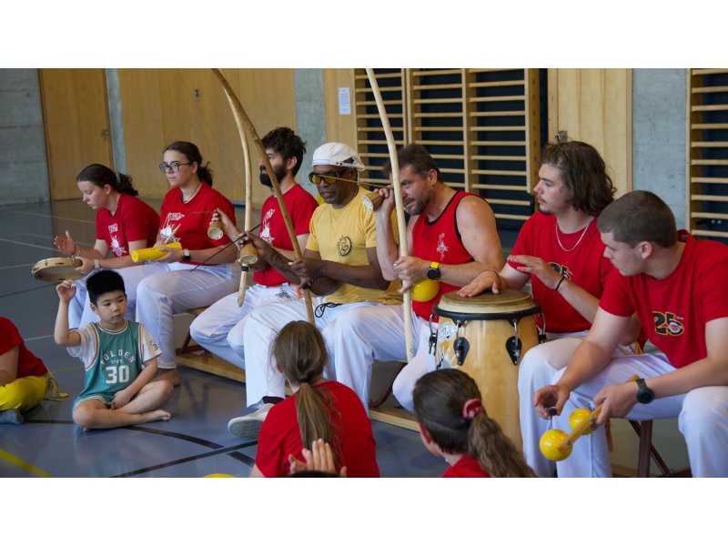 Rencontre de Capoeira 12 et 13 Juin 2026 - 26 ans — 61
