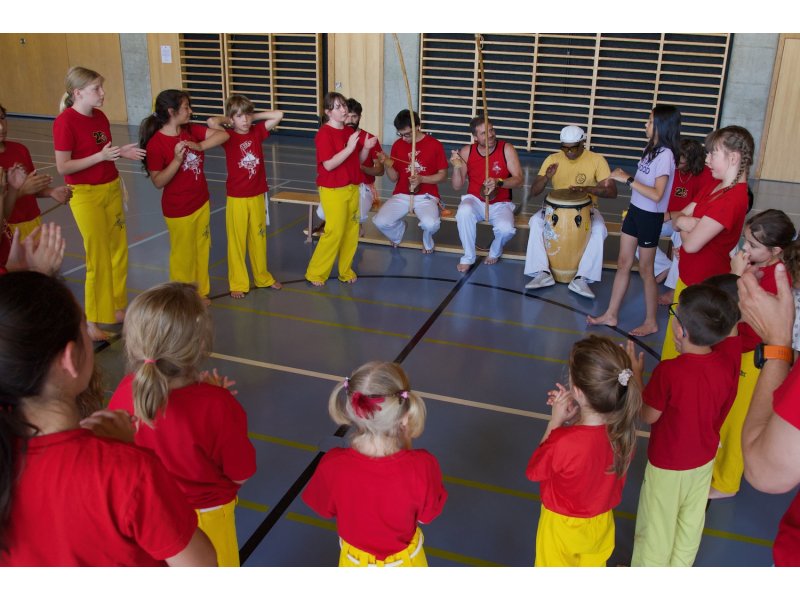 Rencontre de Capoeira 12 et 13 Juin 2026 - 26 ans — 52