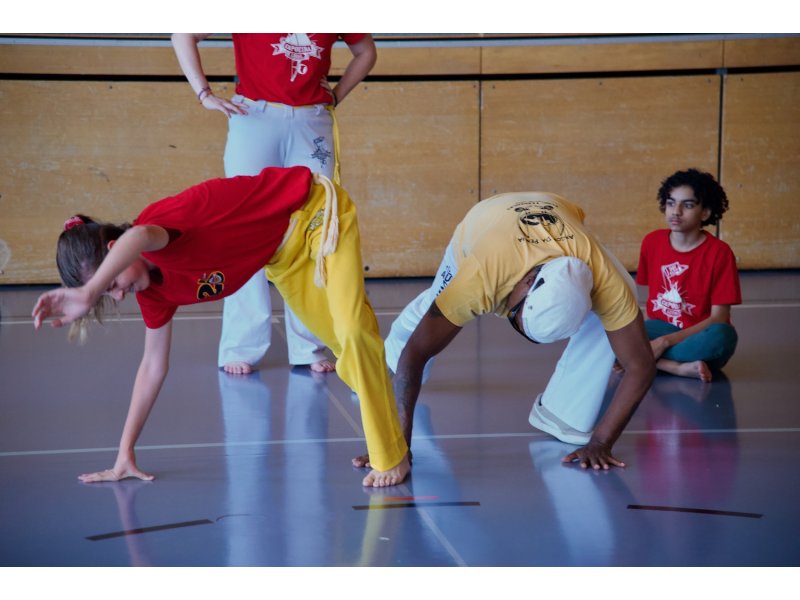 Rencontre de Capoeira 12 et 13 Juin 2026 - 26 ans — 16
