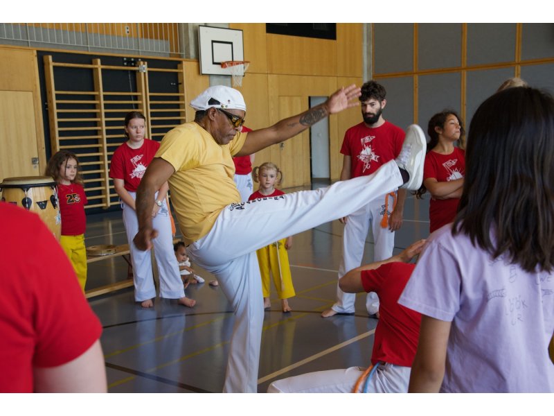 Rencontre de Capoeira 12 et 13 Juin 2026 - 26 ans — 29