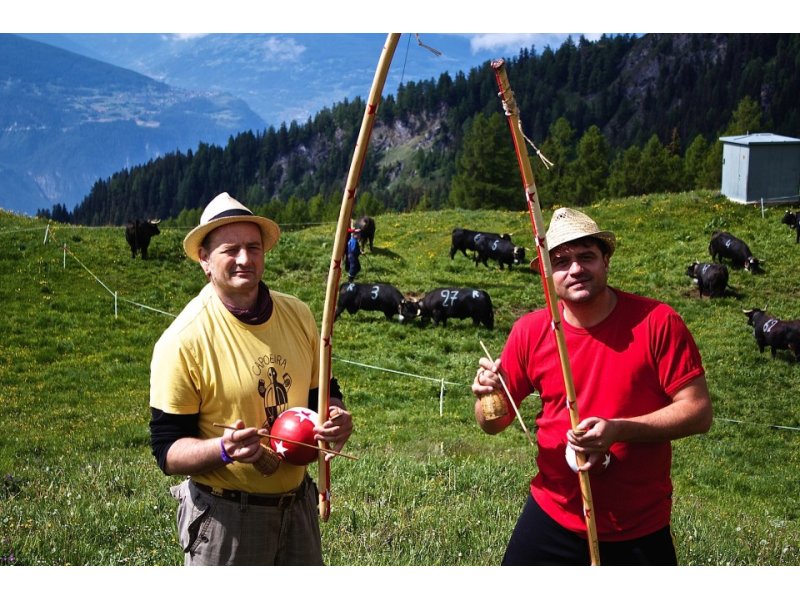 Capoeir'Alpes Camps 2014 — 2