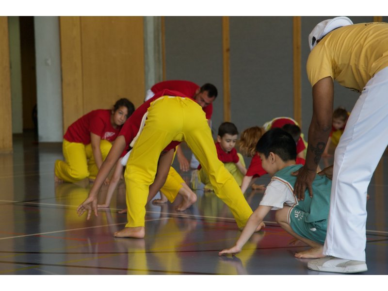 Rencontre de Capoeira 12 et 13 Juin 2026 - 26 ans — 45