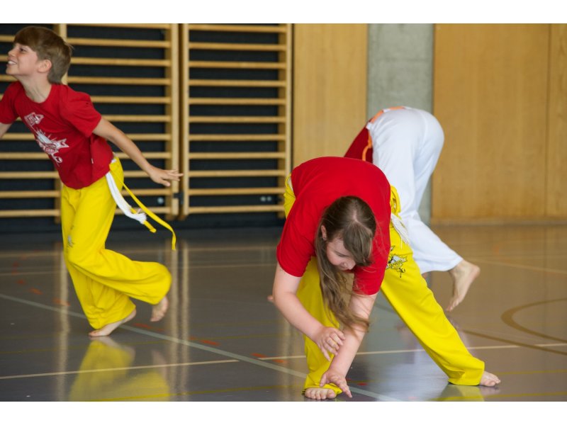 Rencontre de Capoeira 12 et 13 Juin 2026 - 26 ans — 30