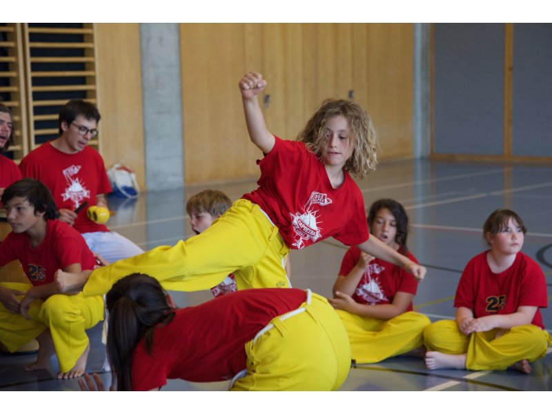 Rencontre de Capoeira 12 et 13 Juin 2026 - 26 ans — 17