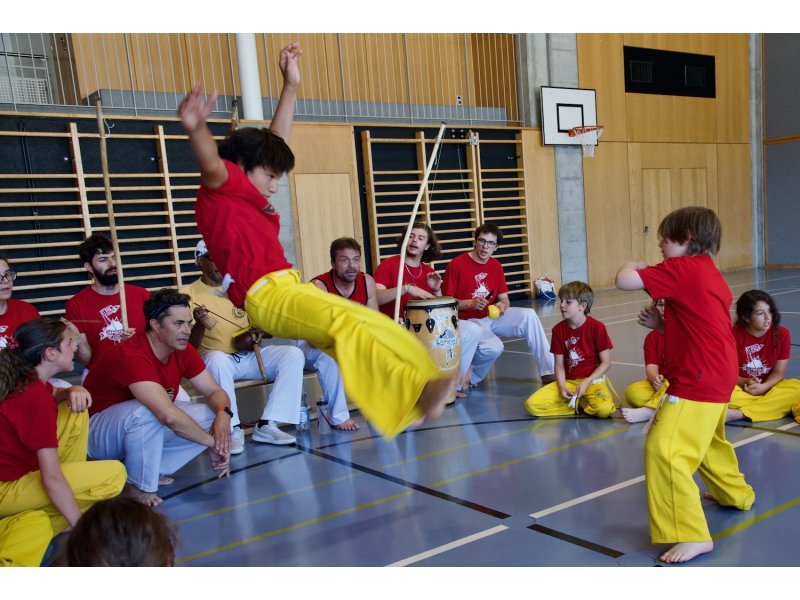 Rencontre de Capoeira 12 et 13 Juin 2026 - 26 ans — 15