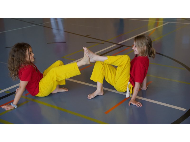 Rencontre de Capoeira 12 et 13 Juin 2026 - 26 ans — 46