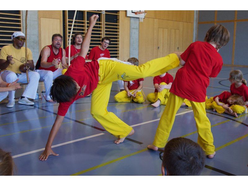 Rencontre de Capoeira 12 et 13 Juin 2026 - 26 ans — 19