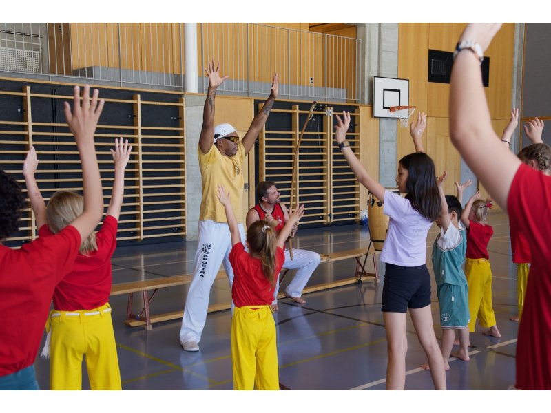 Rencontre de Capoeira 12 et 13 Juin 2026 - 26 ans — 58
