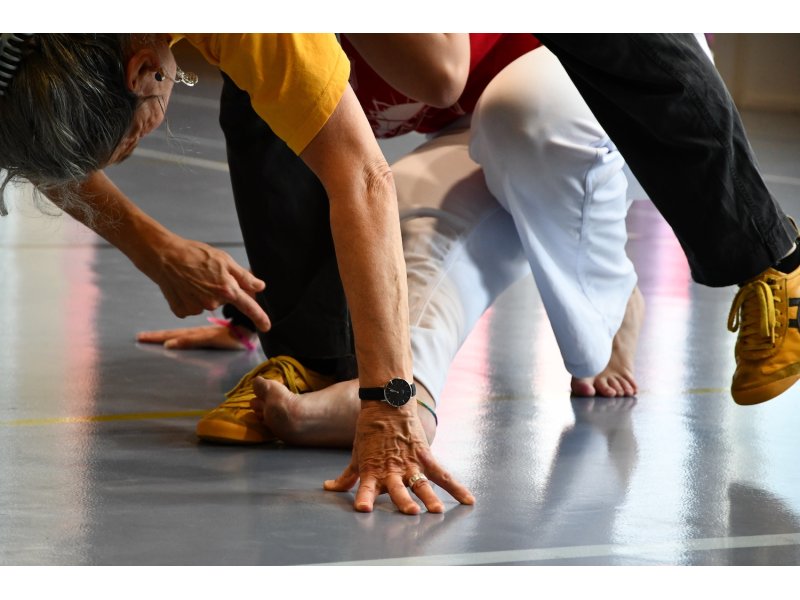 25 ans de la Capoeira Dos Alpes - Vendredi 13 juin 2025 — 22