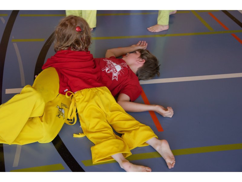 Rencontre de Capoeira 12 et 13 Juin 2026 - 26 ans — 31