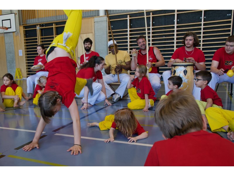 Rencontre de Capoeira 12 et 13 Juin 2026 - 26 ans — 7
