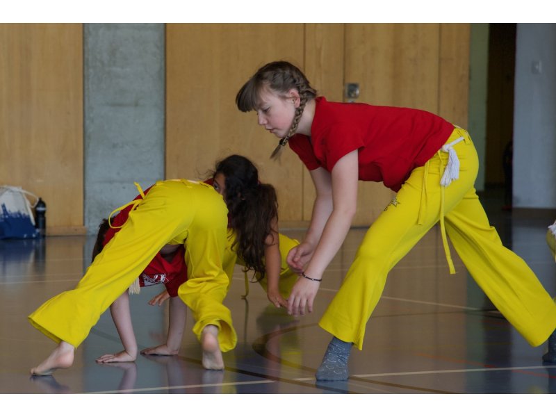 Rencontre de Capoeira 12 et 13 Juin 2026 - 26 ans — 4