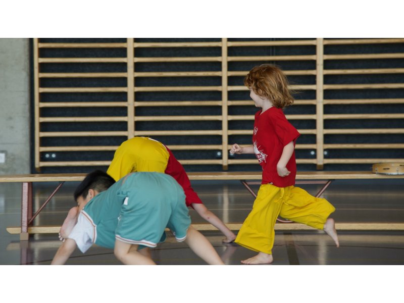 Rencontre de Capoeira 12 et 13 Juin 2026 - 26 ans — 49