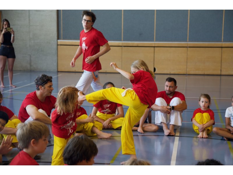 Rencontre de Capoeira 12 et 13 Juin 2026 - 26 ans — 11