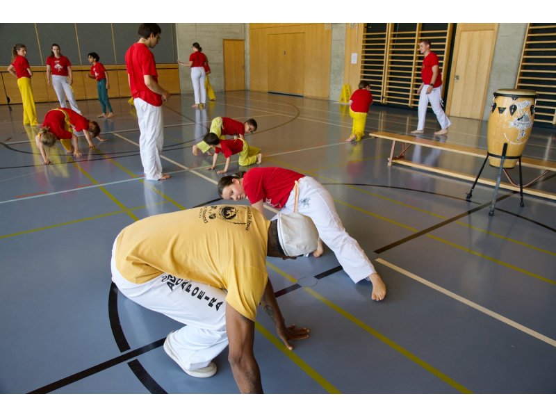 Rencontre de Capoeira 12 et 13 Juin 2026 - 26 ans — 10