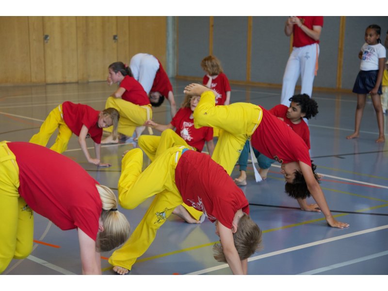 Rencontre de Capoeira 12 et 13 Juin 2026 - 26 ans — 55