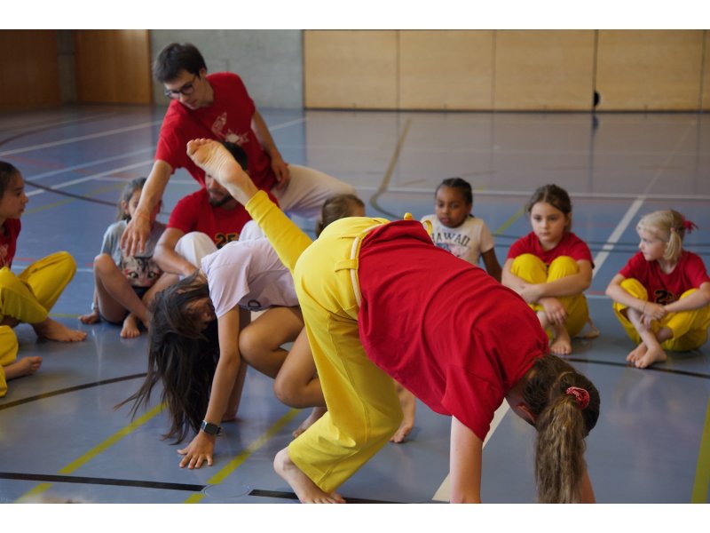 Rencontre de Capoeira 12 et 13 Juin 2026 - 26 ans — 5