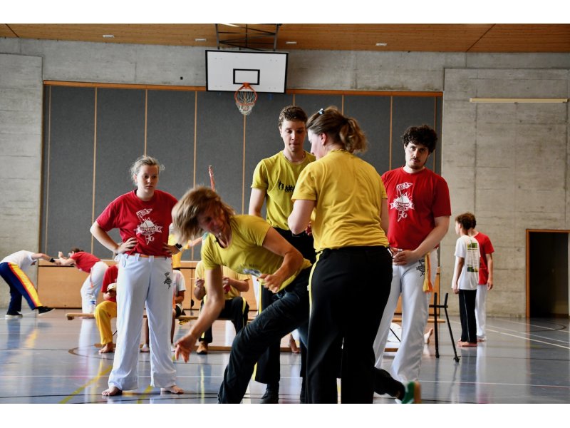 25 ans de la Capoeira Dos Alpes - Vendredi 13 juin 2025 — 11