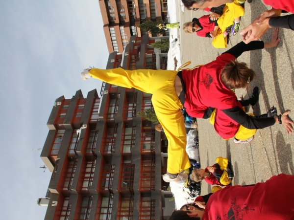 Camps de Ski 2014