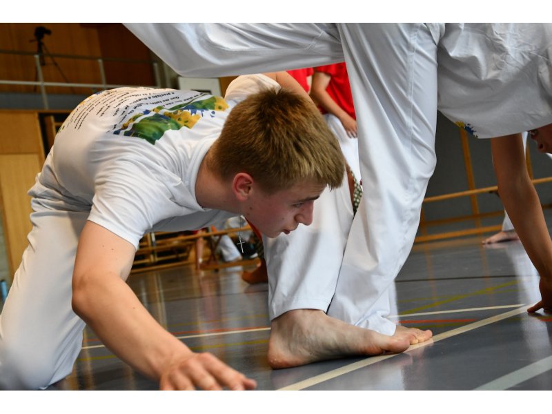 25 ans de la Capoeira Dos Alpes - Vendredi 13 juin 2025 — 18