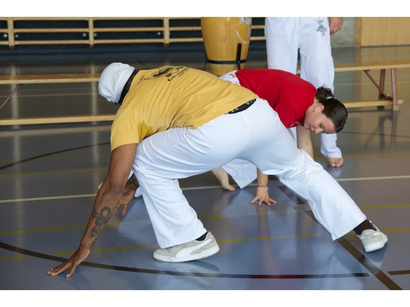 Rencontre de Capoeira 12 et 13 Juin 2026 - 26 ans — 14