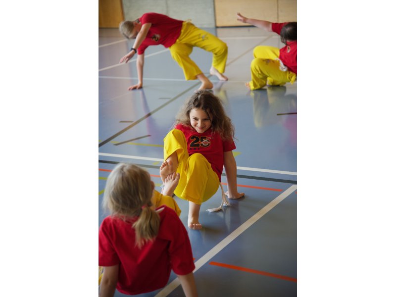 Rencontre de Capoeira 12 et 13 Juin 2026 - 26 ans — 43
