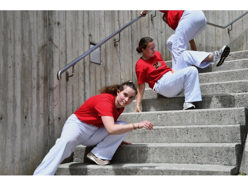 25 ans de la Capoeira Dos Alpes - Samedi 14 juin 2025 — 71