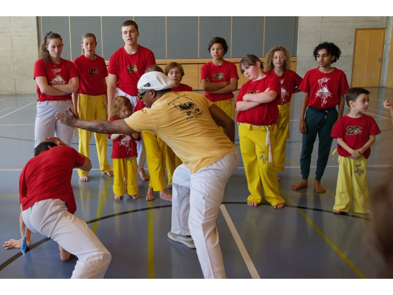 Rencontre de Capoeira 12 et 13 Juin 2026 - 26 ans — 22