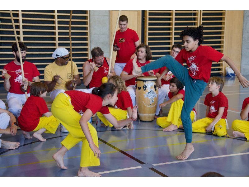 Rencontre de Capoeira 12 et 13 Juin 2026 - 26 ans — 66