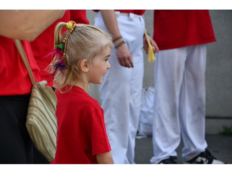25 ans de la Capoeira Dos Alpes - Dimanche 15 juin 2025 — 44
