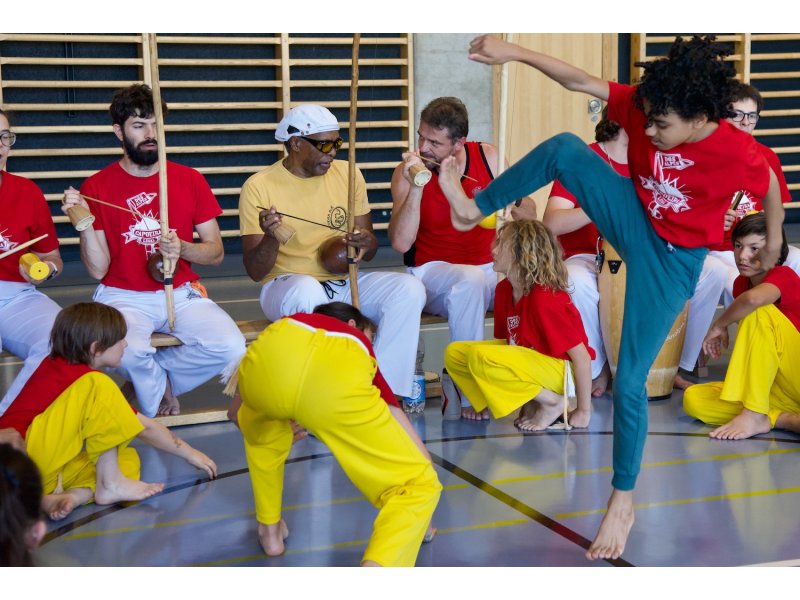 Rencontre de Capoeira 12 et 13 Juin 2026 - 26 ans — 65