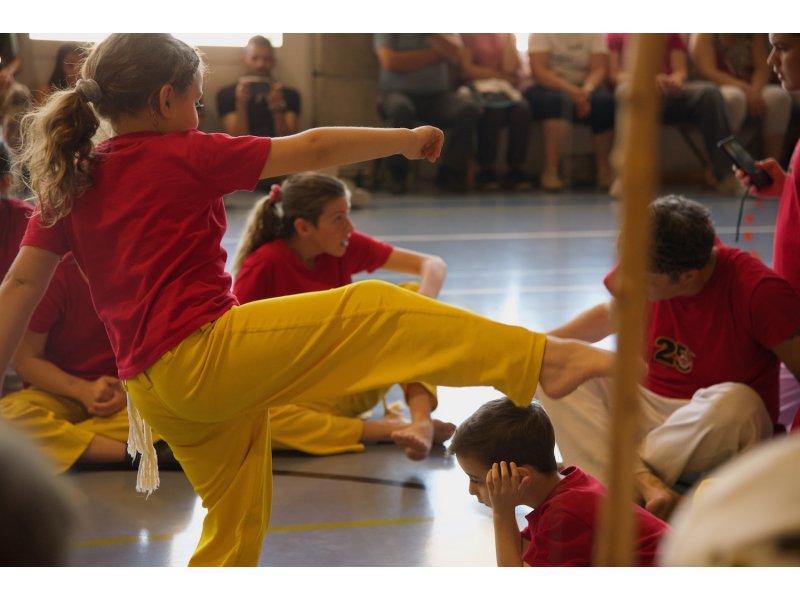 Rencontre de Capoeira 12 et 13 Juin 2026 - 26 ans — 13