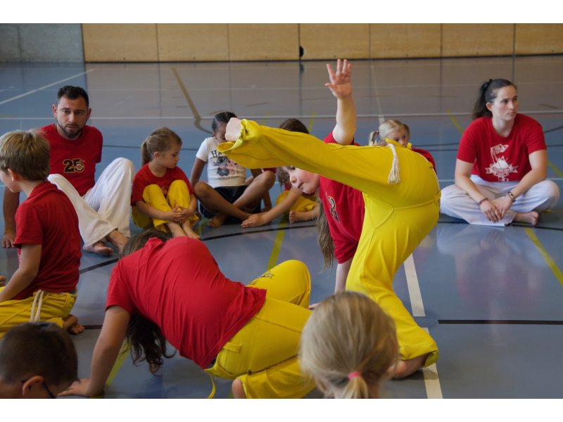 Rencontre de Capoeira 12 et 13 Juin 2026 - 26 ans — 62
