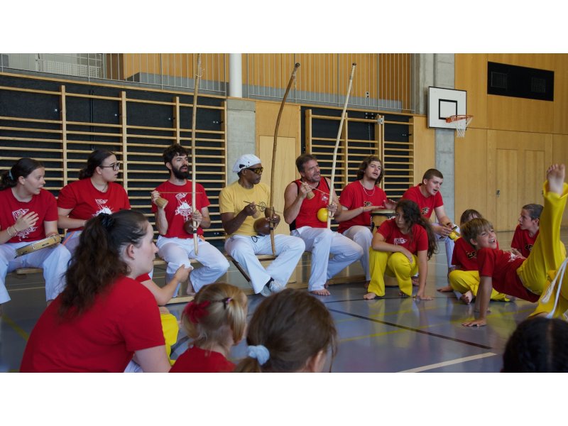Rencontre de Capoeira 12 et 13 Juin 2026 - 26 ans — 59