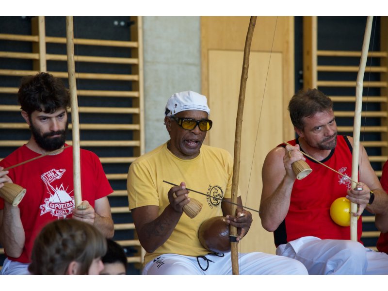 Rencontre de Capoeira 12 et 13 Juin 2026 - 26 ans — 60