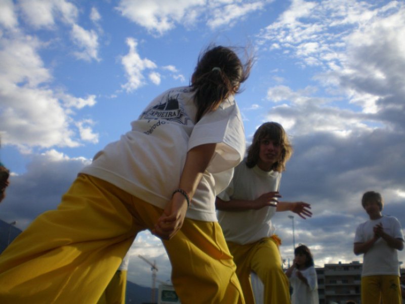Roda divers (2007) — 19