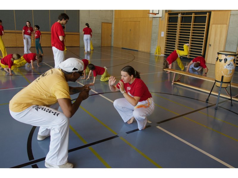 Rencontre de Capoeira 12 et 13 Juin 2026 - 26 ans — 8