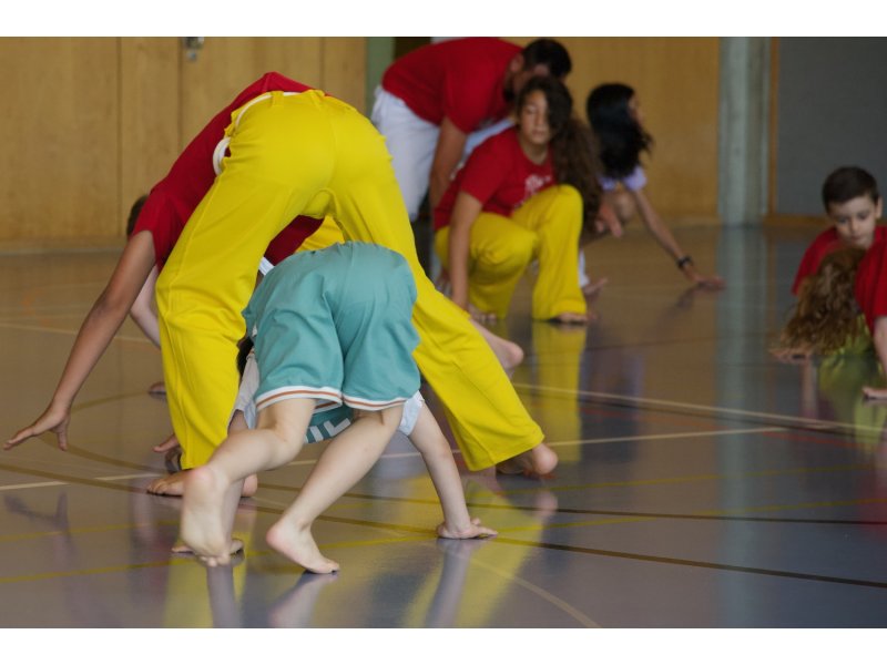 Rencontre de Capoeira 12 et 13 Juin 2026 - 26 ans — 47