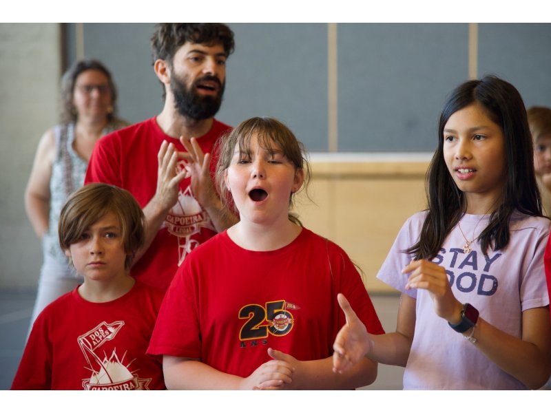 Rencontre de Capoeira 12 et 13 Juin 2026 - 26 ans — 28