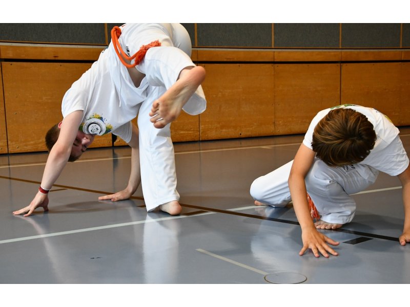 25 ans de la Capoeira Dos Alpes - Vendredi 13 juin 2025 — 23