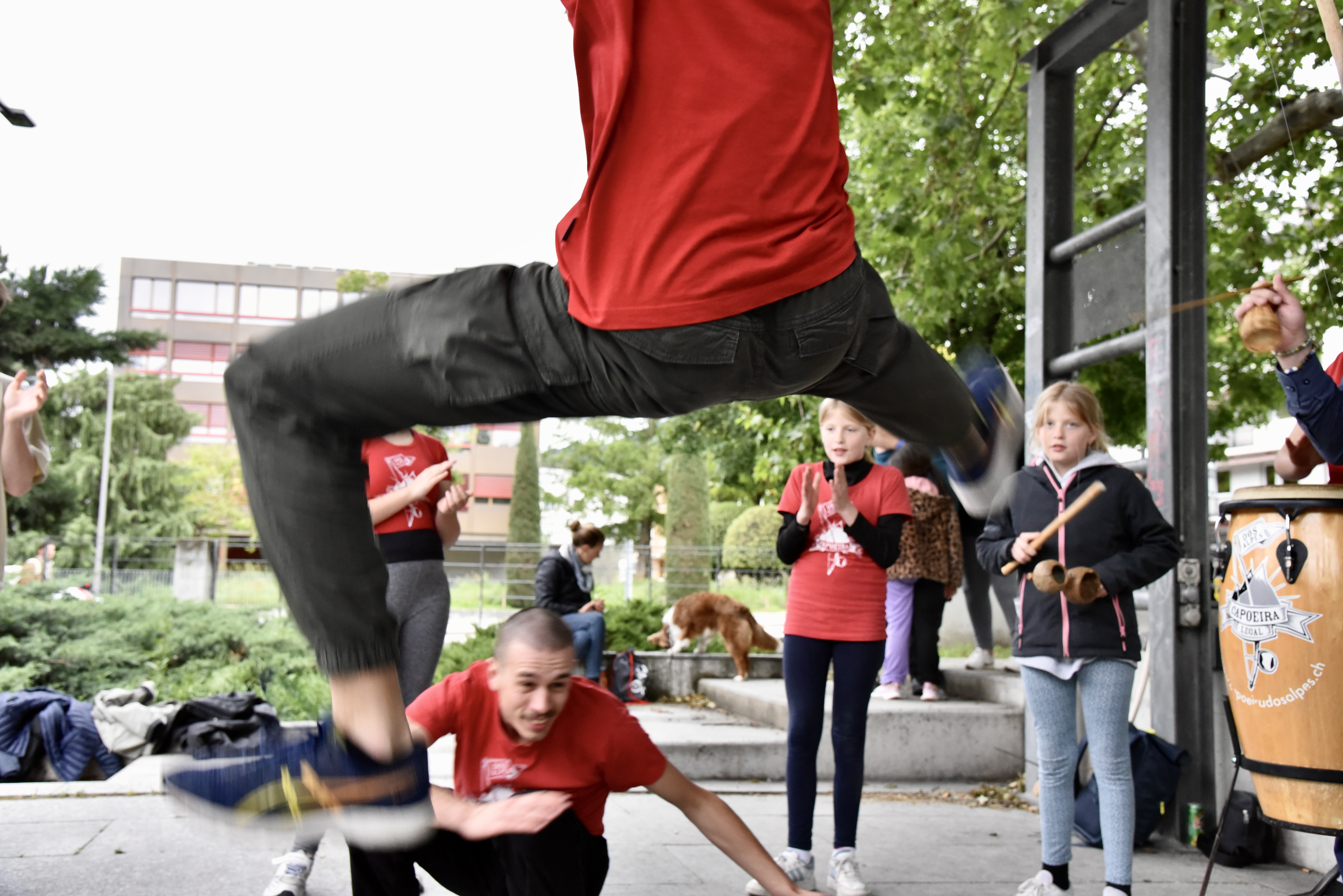 Roda avec le public