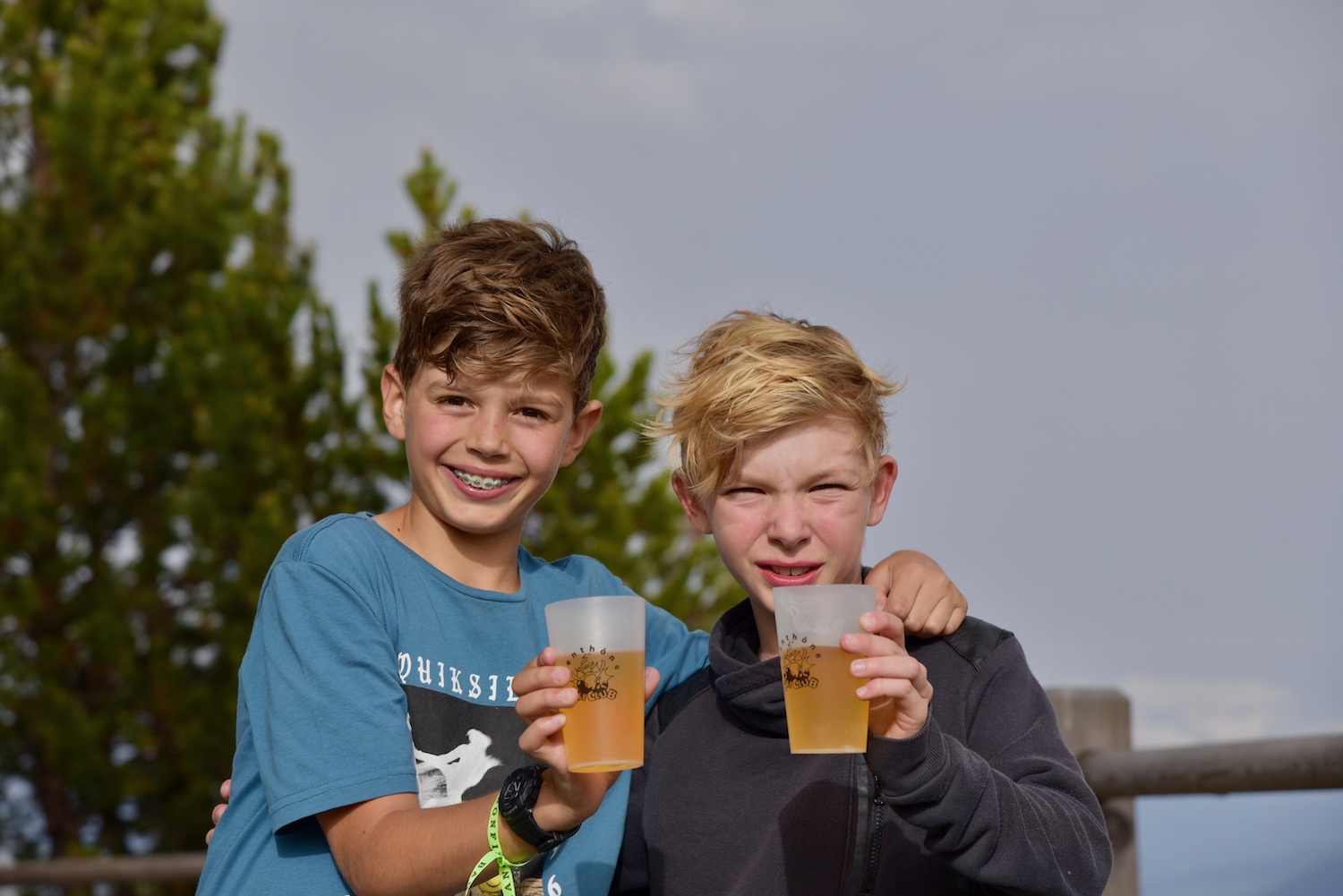 Capoeiralpes Camp 2019